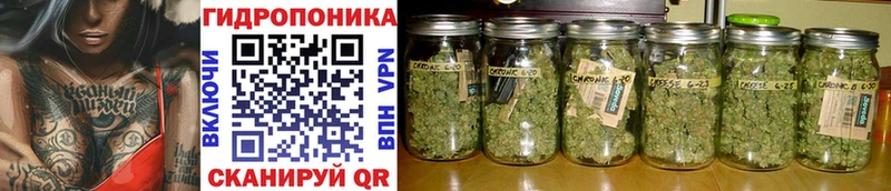 МАРИХУАНА THC 21%  Пересвет 